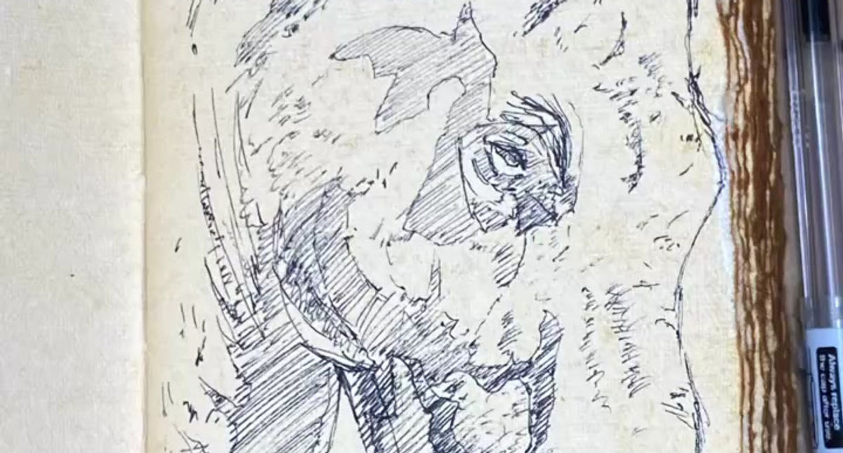 Daily sketch 5/29/25